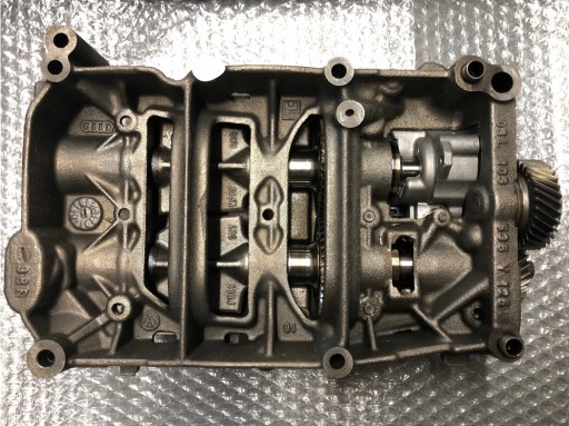Pompa Oleju 2.0 TDI A4 A6 Q5 Passat B6 WAŁEK 100mm
